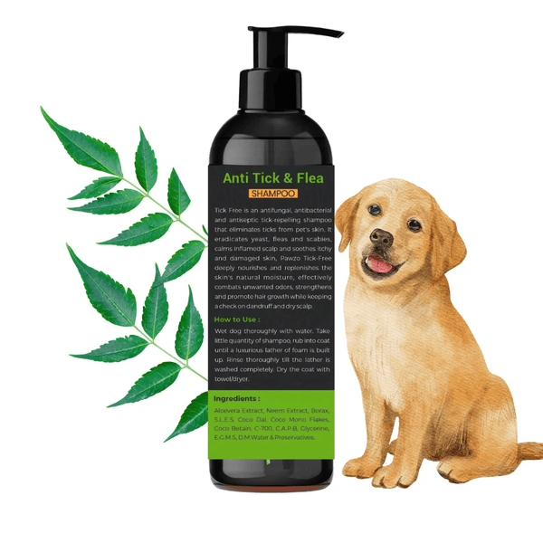 Rahul Gupta | Lab Owner